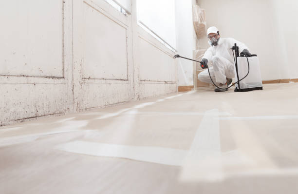 24/7 Emergency Attic Mold Remediation experts in Dunellen, NJ